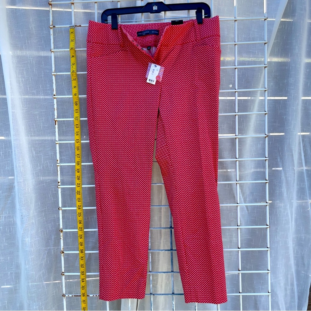 The Limited size 10 red pants